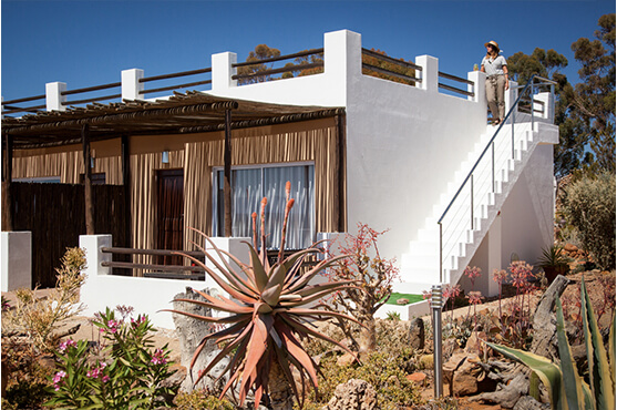 Safaris Down South - Inverdoorn - Ambassador Chalet