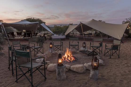 Safaris Down South - Sanbona Camp - Tented Camp*