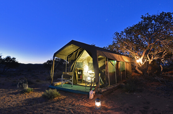 Safaris Down South - Sanbona Camp - Tented Camp*