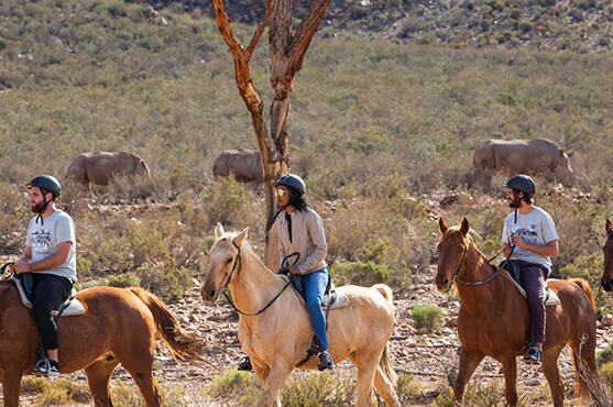 Safaris Down South - Horseback Safari Combo