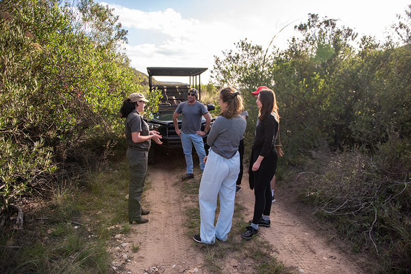 Tented Eco Camp Activity Exploring Game Tracks_DSC1685