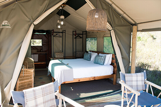 Tented Eco Camp_1 (1)
