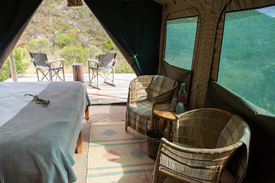 Tented Eco Camp_3 (1)