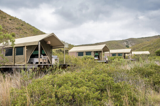 Safaris Down South - Gondwana - Tented Eco Camp