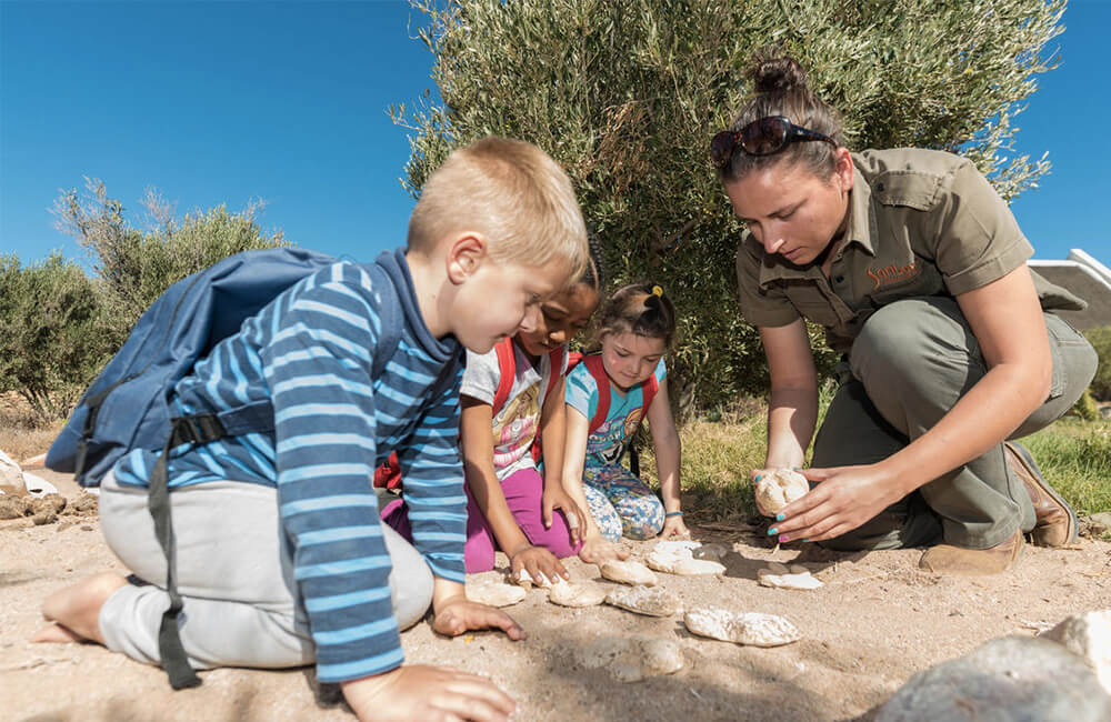 Safaris Down South - Gondwana Family Lodge at Sanbona