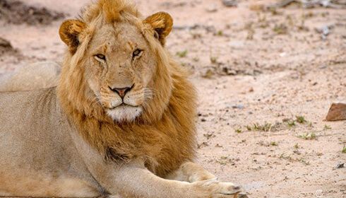 DSC_5240-copy-copy-700x400