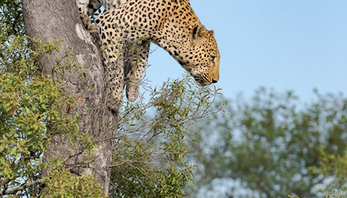 DSC_6808-copy-700x400