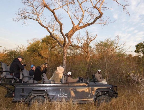 Dulini Main Lodge feature 4