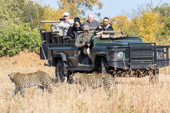 Feature images MalaMala Sable Camp 1