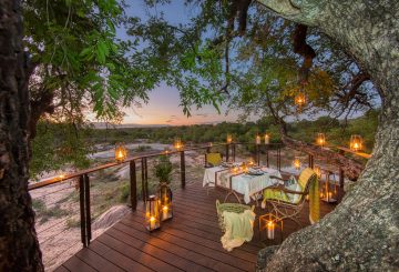 Leadwood Lookout Deck 13