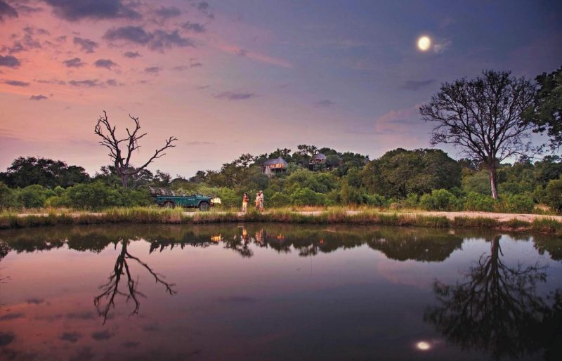 Leopard hills banner