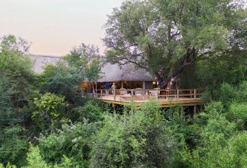 Pioneer camps banner image