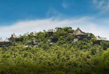 Virgin Limited Edition, Roof gardens Kensington