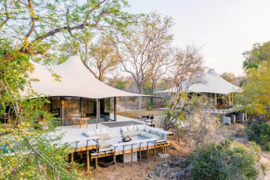 Thornybush Saseka camp 4