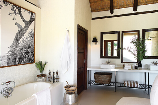 Tree Camp - Luxury suites 2