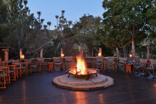 sibuya-game-reserve-forest-camp