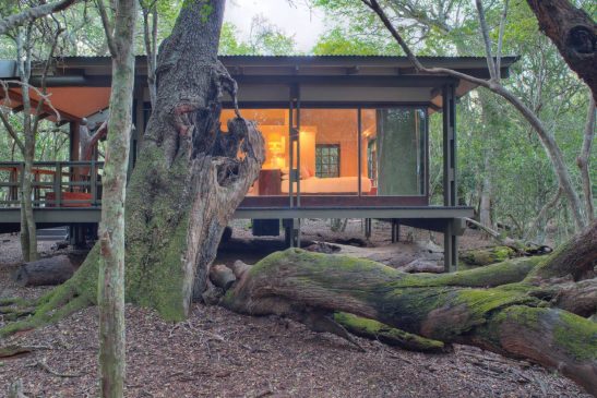 Forrest lodge banner