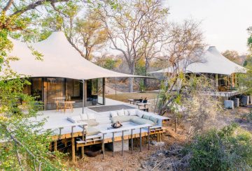 Thornybush-Saseka-camp-4-1