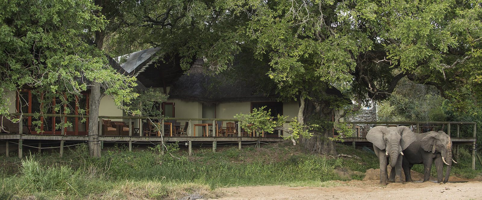 Tintswalo-Safari-Lodge-140_D423689-2