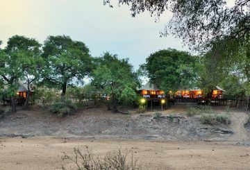 Hamiltons Tented Camp banner