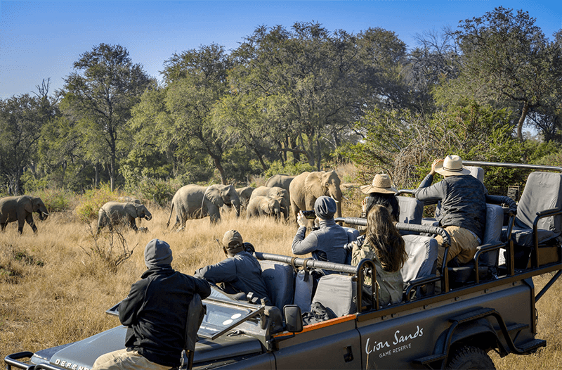 Lion Sands off-road game drives