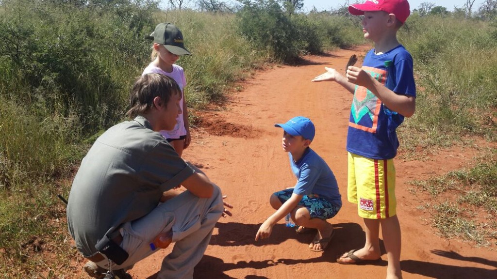 Fun activities for kids in safari