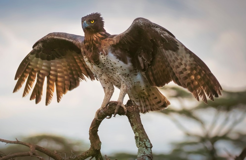 fun facts about the Kruger National Park