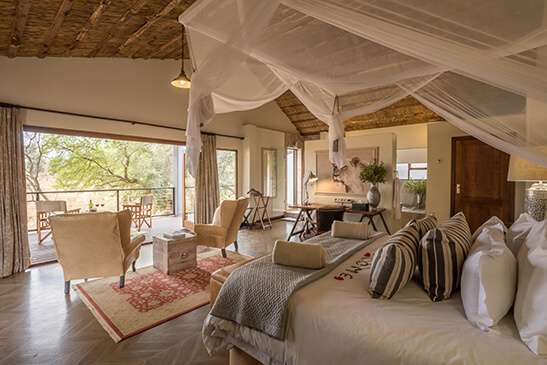 Deluxe suite at Becks Safari Lodge