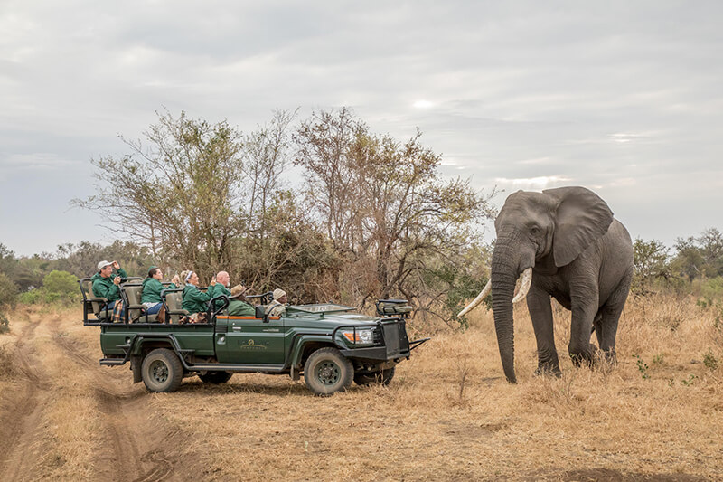 Karongwe River Lodge feature 2