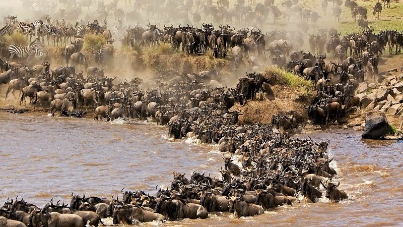 Game reserves in Africa