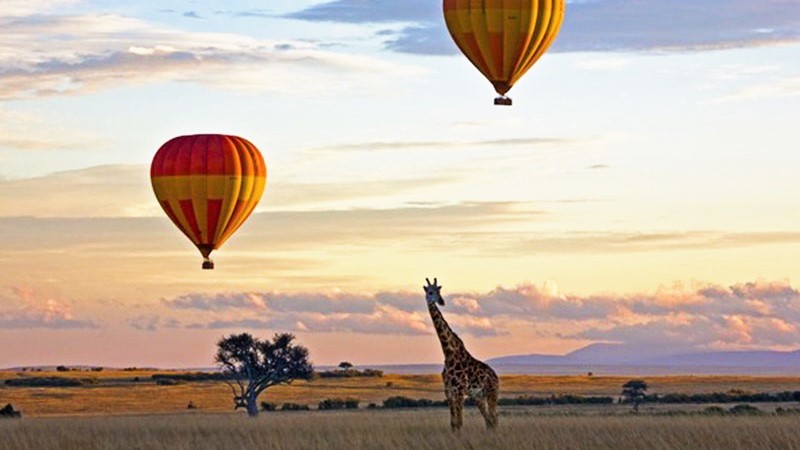 Game parks in Africa