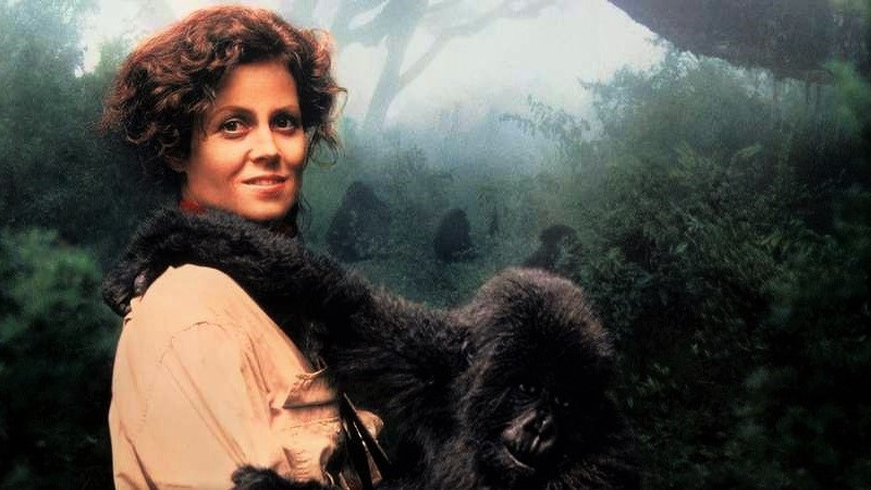 Safari film classics