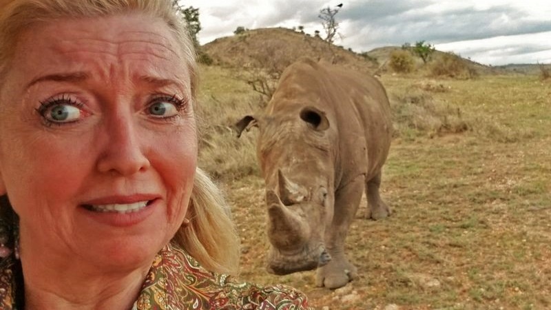 Safari tips for safety