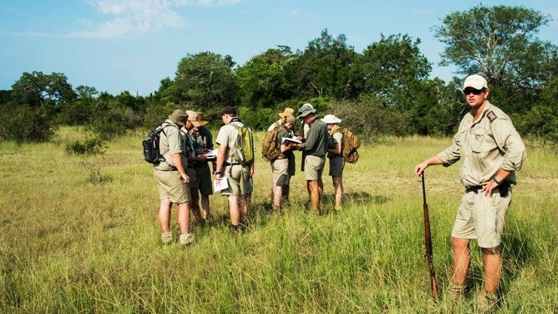 Safari safety tips