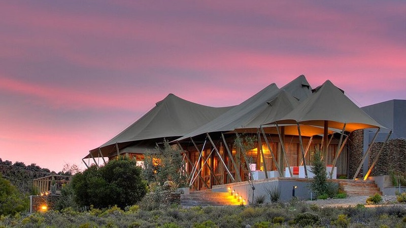 Safari questions and answers