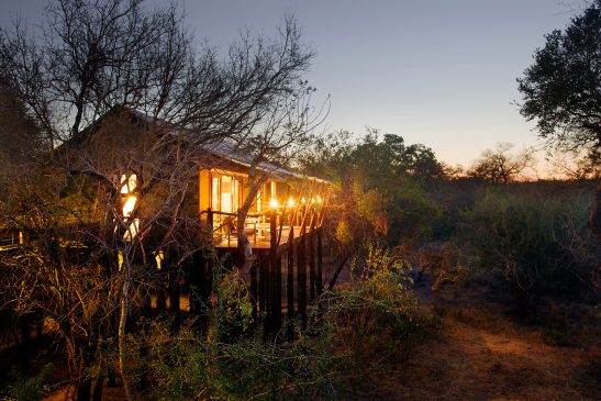 Kapama Buffalo Lodge