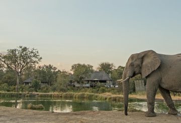 Simbambili Game Lodge