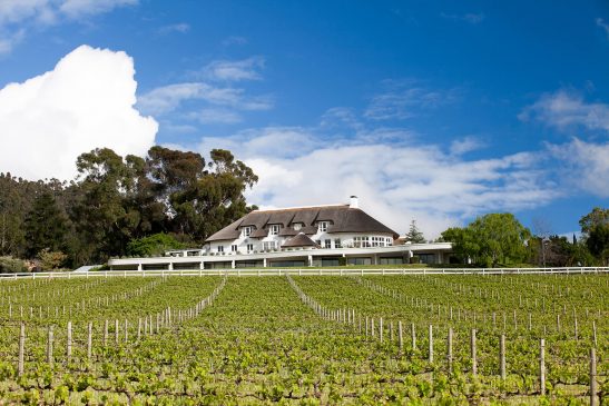 Mont Rochelle Hotel and Vineyard