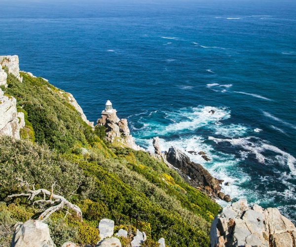 Visit Cape Point