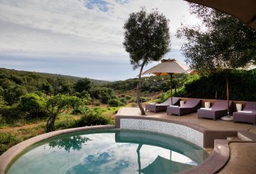 Amakhala Safari Lodge