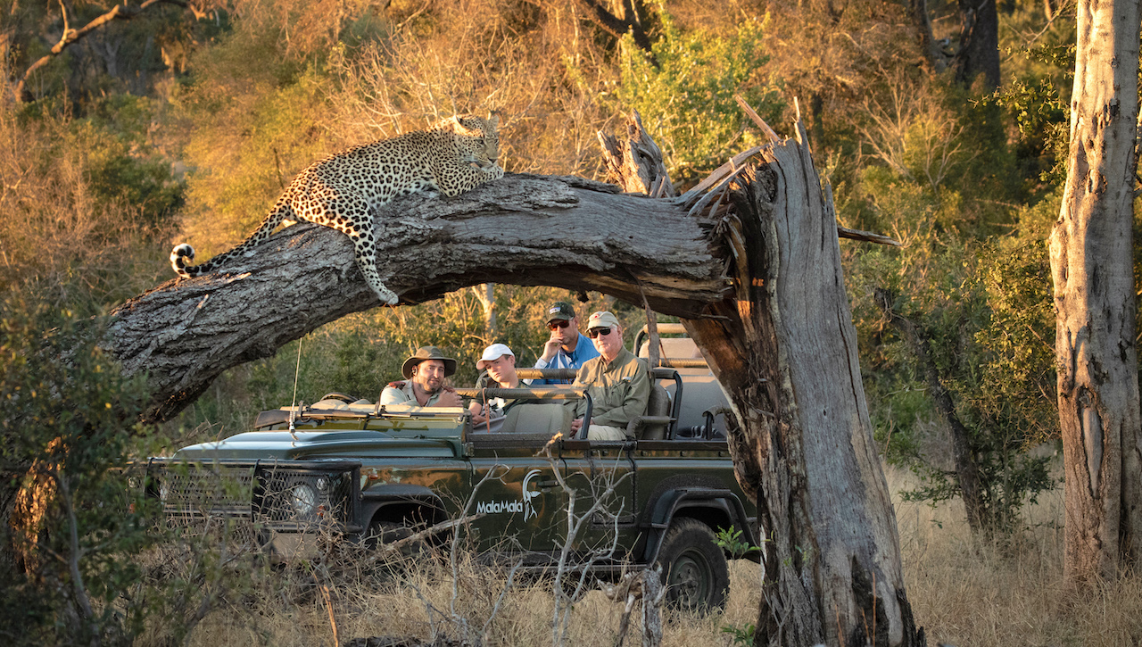 MalaMala Game Reserve