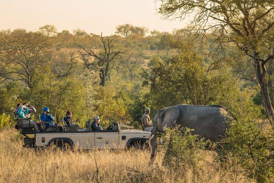 Chitwa Chitwa Itinerary 6