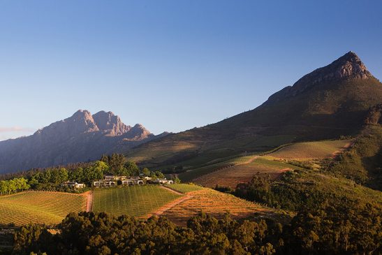 Delaire Graff wine estate