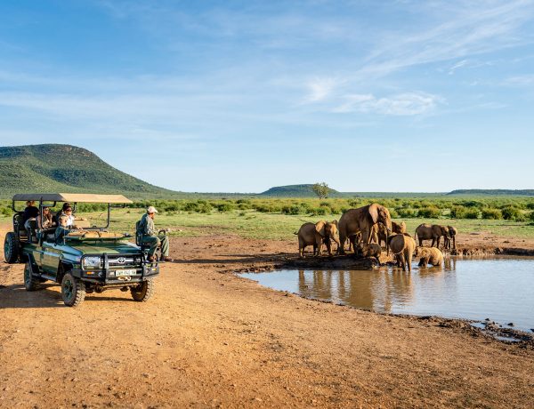 92ED6743-2B45-4478-A723-09614B78C0B8