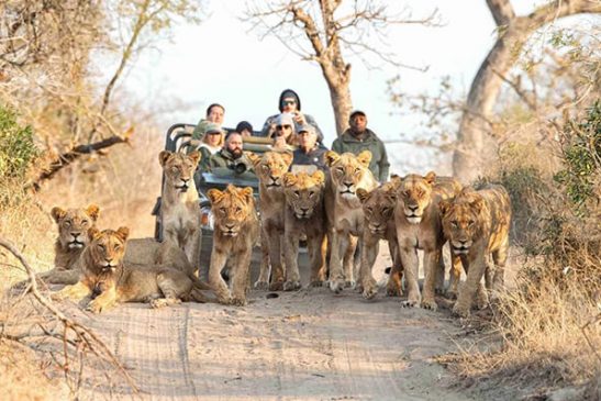 7-big-fivez-RM-1-scaled