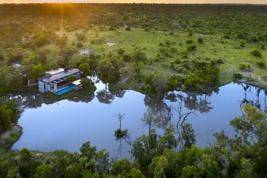 Cheetah Plains banner