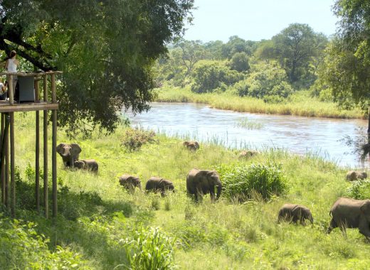 Lion Sands Narina Lodge (1)