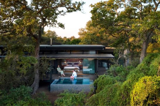 Tanda Tula Tanda Tula Safari Camp