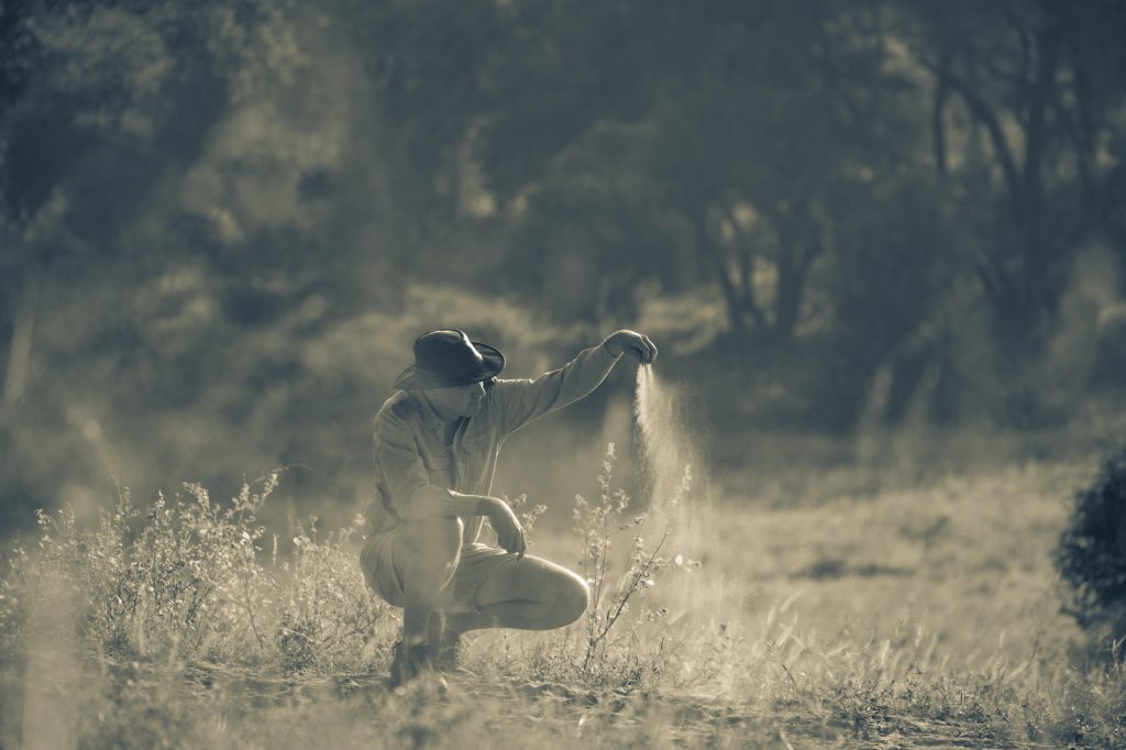 A MalaMala ranger appreciating the conservation 