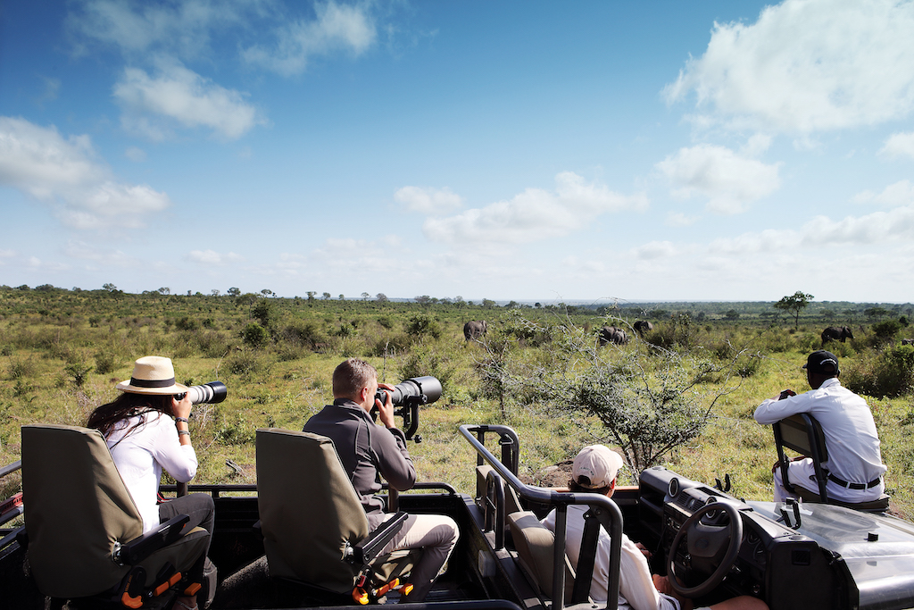 A photographic game drive at MalaMala 